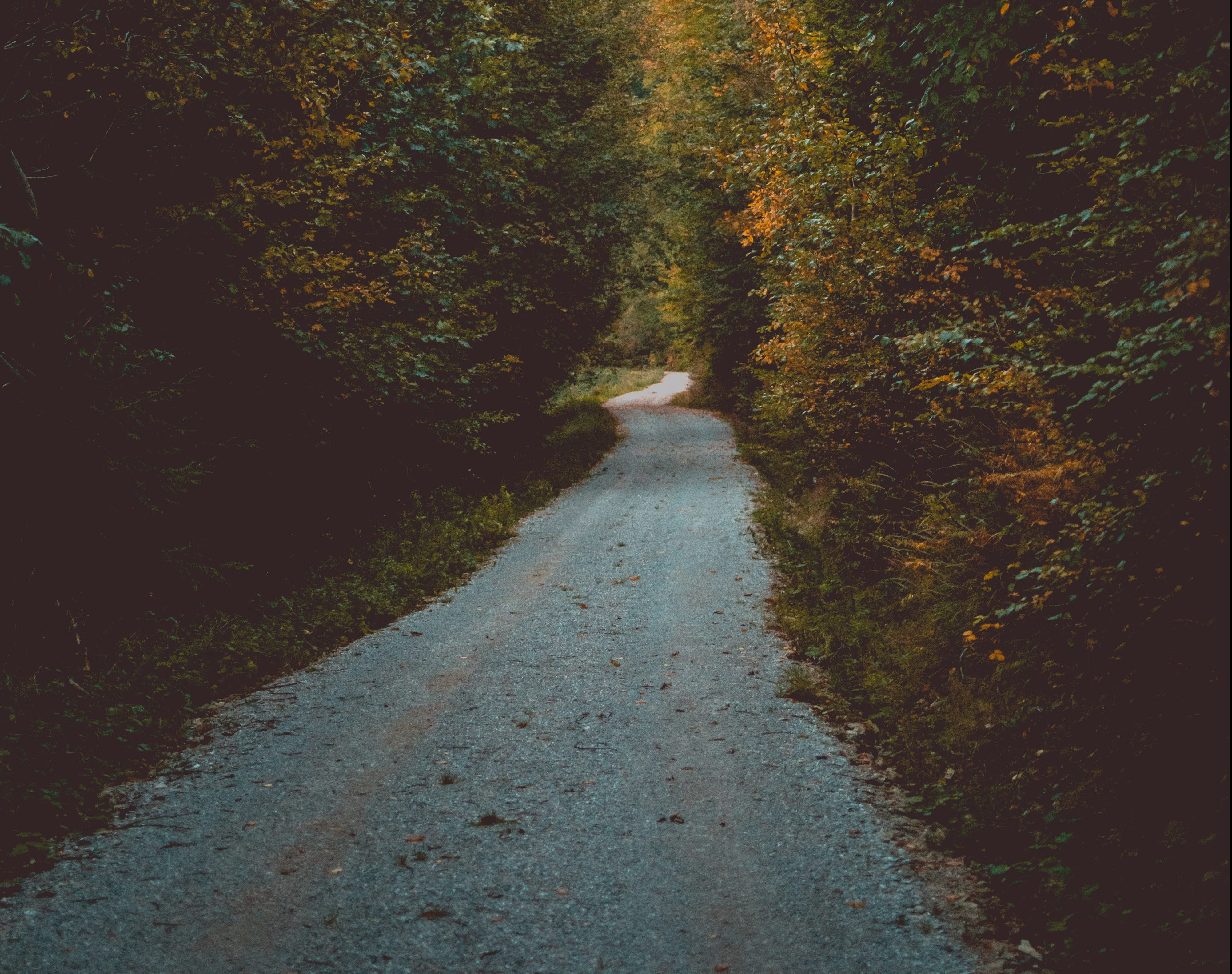 The Future Is Now: Radiation Oncology'S Uncertain Path - 95m8rtl